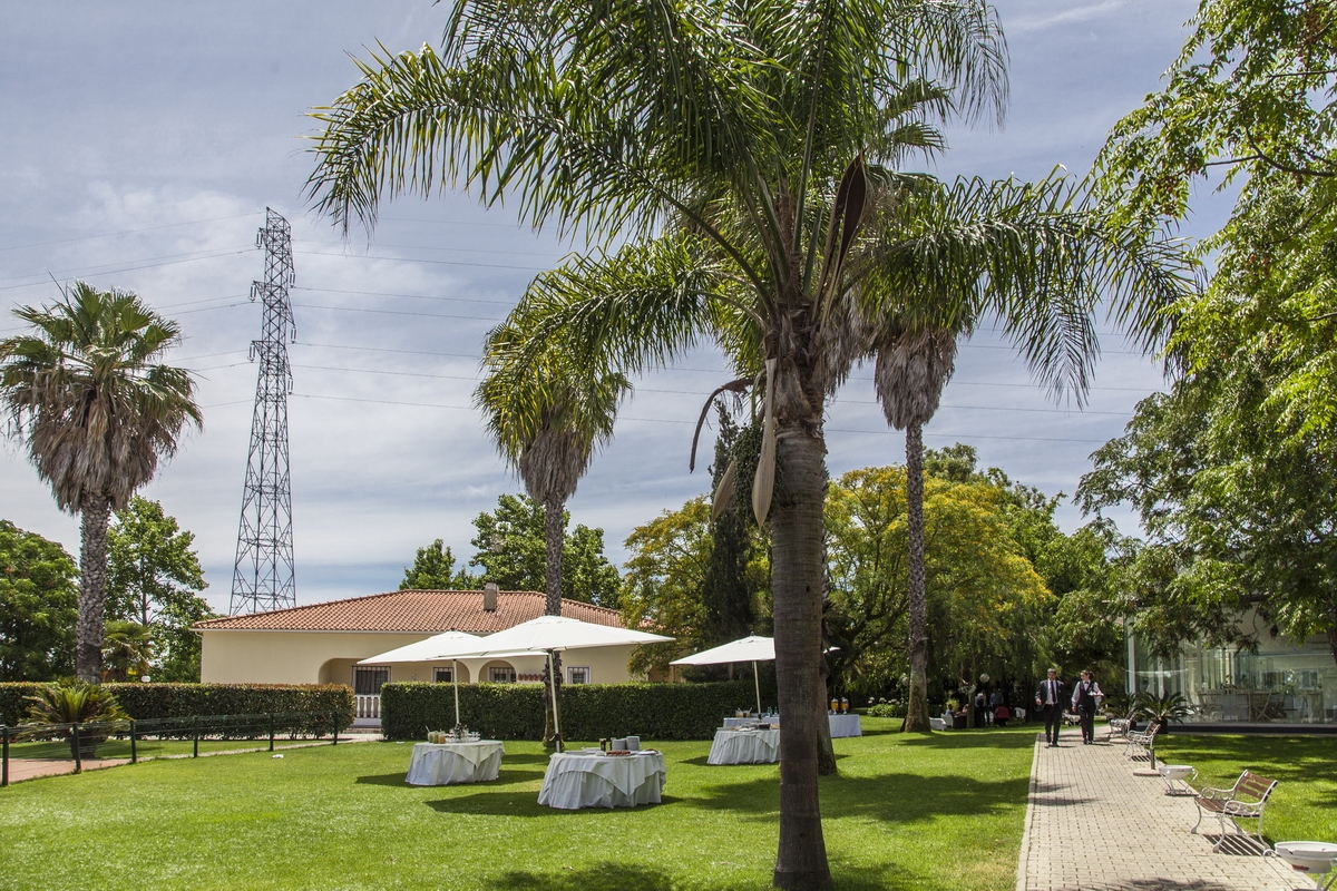 Imagem do casamento de Sónia e Luis