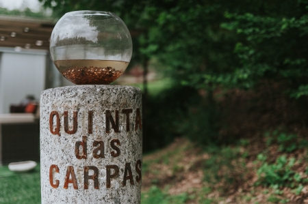 Imagem da loja: Quinta das Carpas
