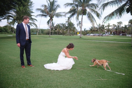 Imagem da loja: Pet of Honor