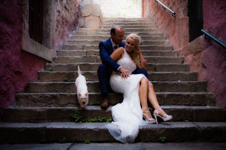 Imagem da loja: Get Married - Wedding Planner