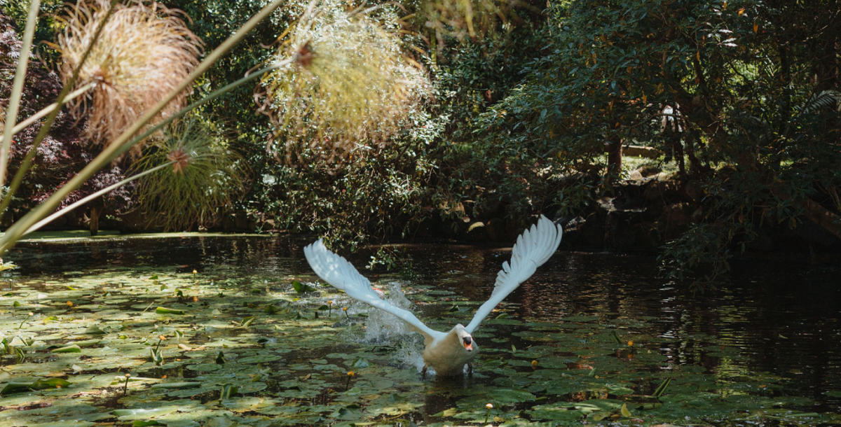 Imagem inserida no corpo do post