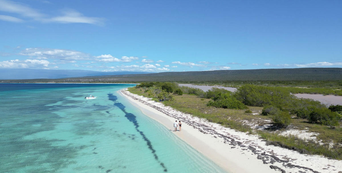 Imagem inserida no corpo do post