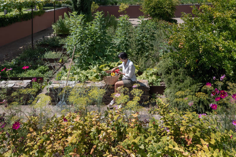 Imagem inserida no corpo do post