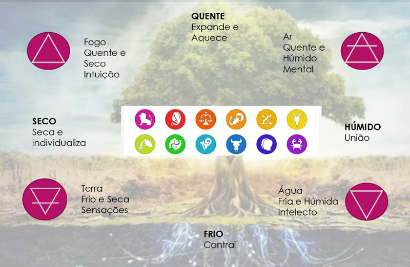 Imagem inserida no corpo do post