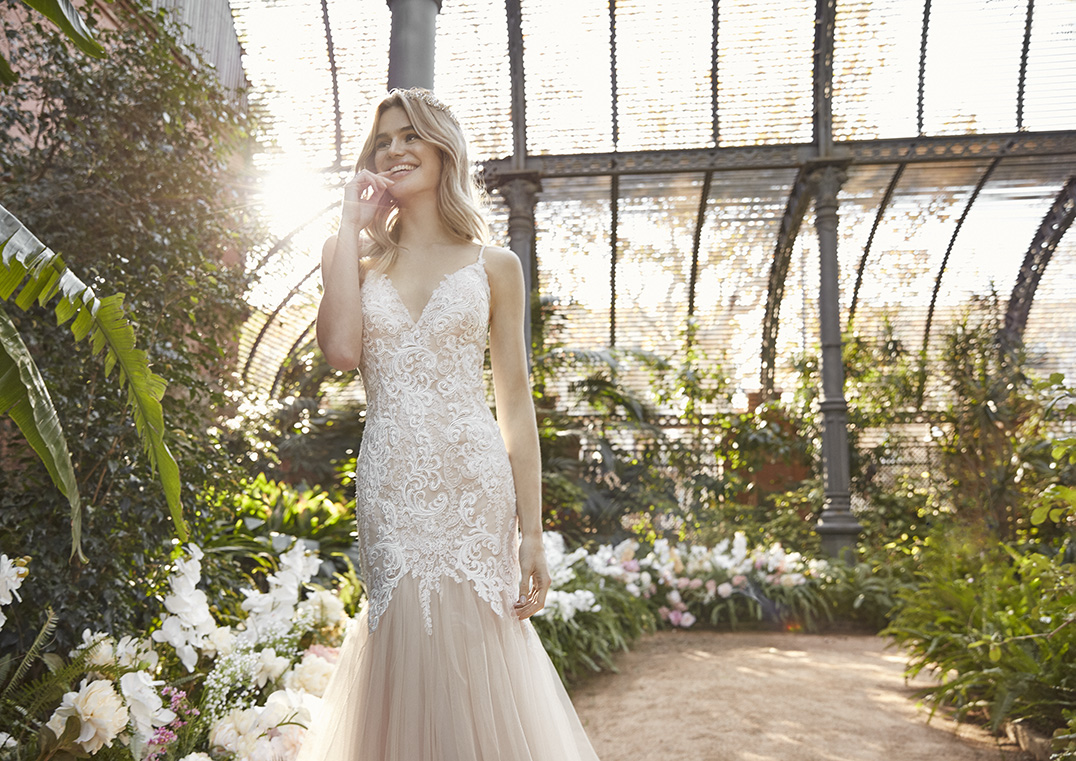 Imagem inserida no corpo do post