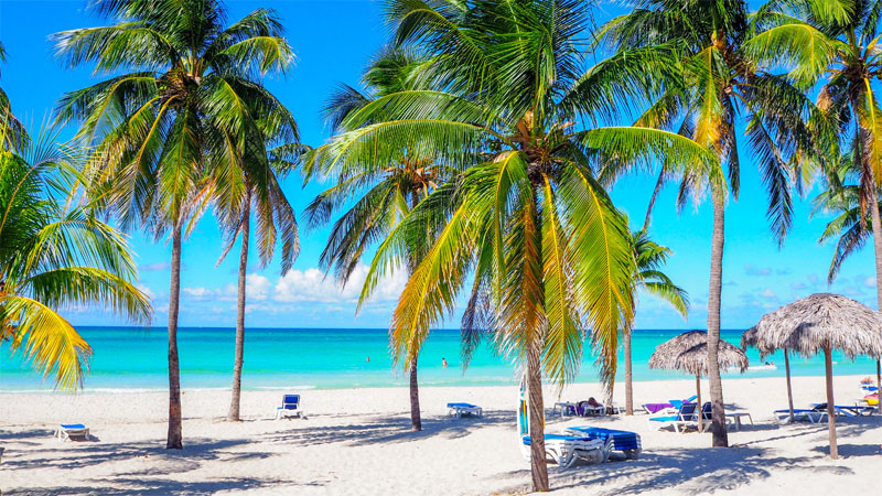 Imagem inserida no corpo do post