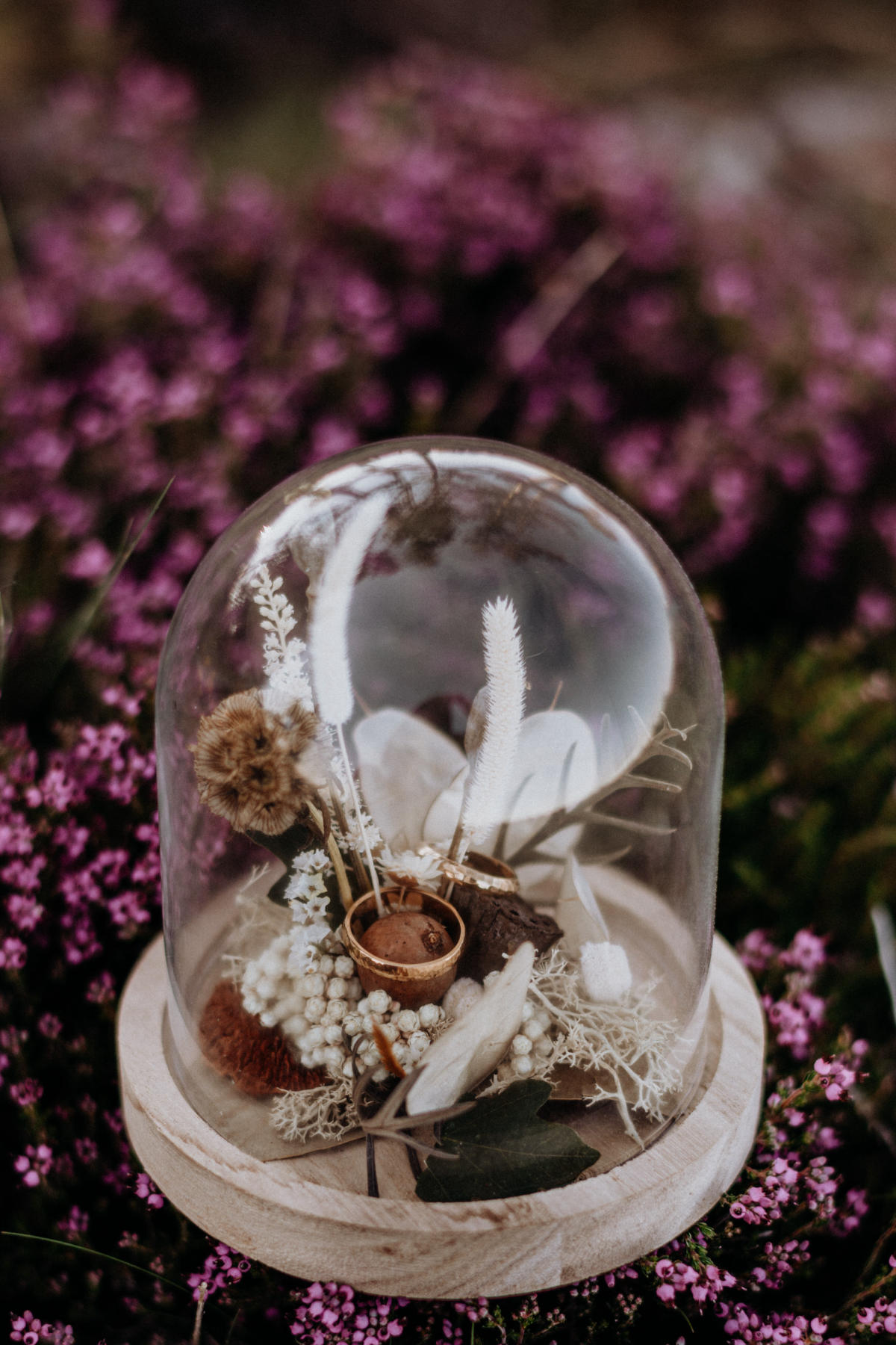 Imagem inserida no corpo do post