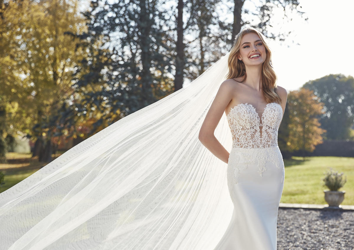 Imagem inserida no corpo do post