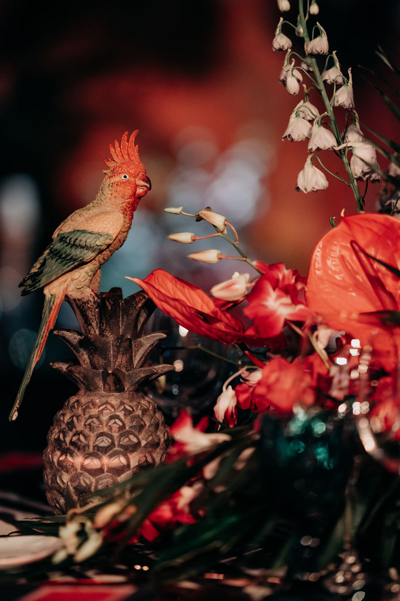 Imagem inserida no corpo do post