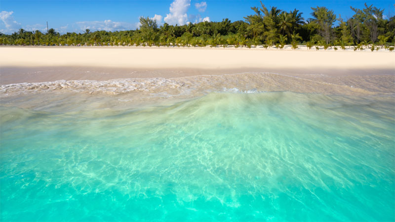 Imagem inserida no corpo do post