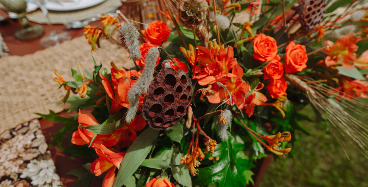 Imagem inserida no corpo do post