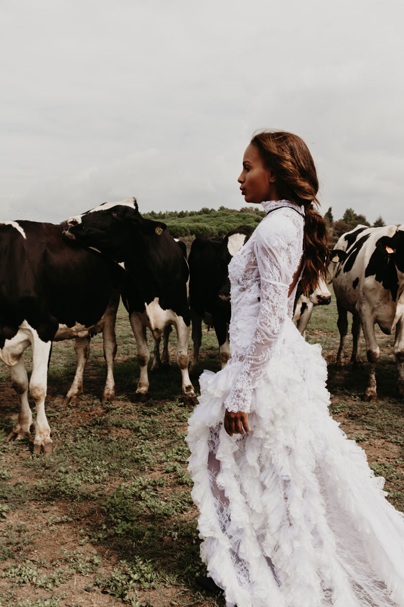 Imagem inserida no corpo do post