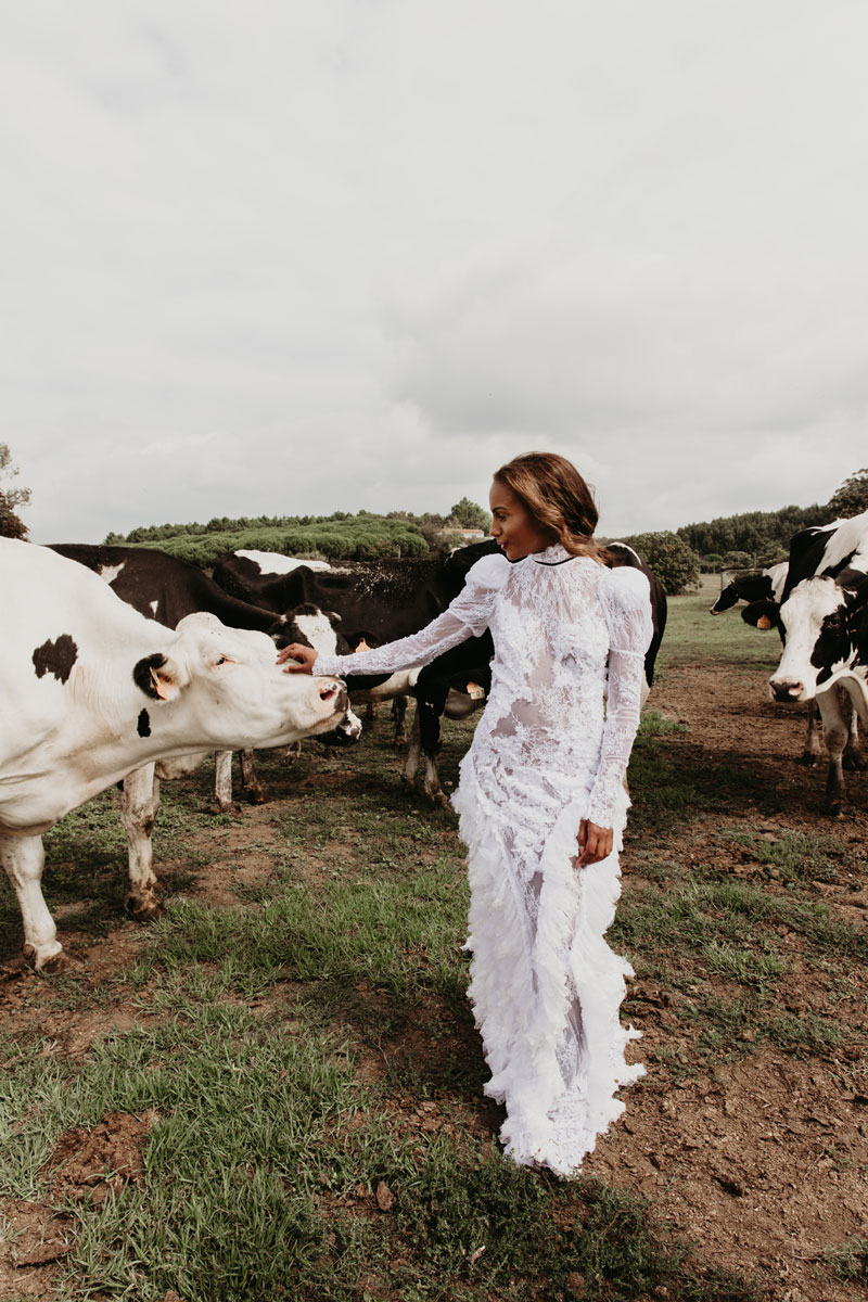 Imagem inserida no corpo do post