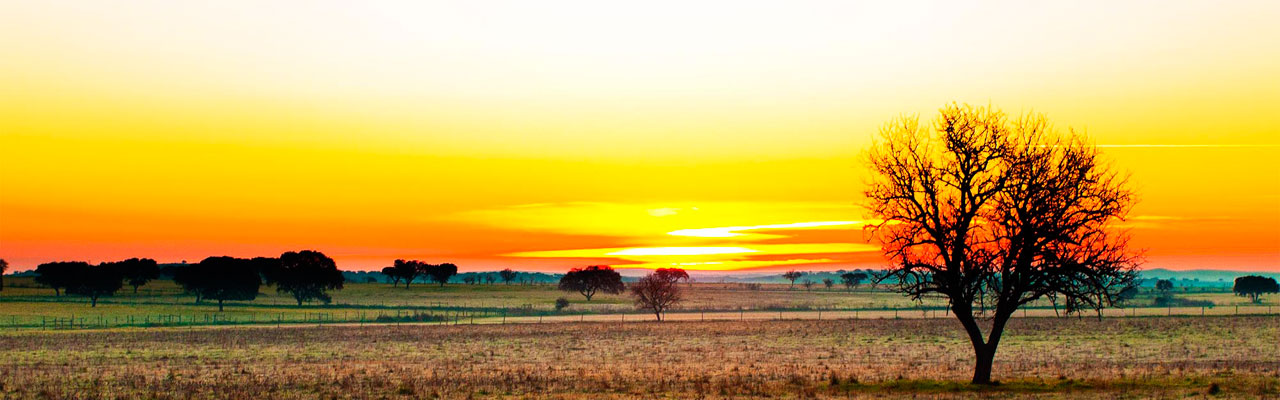 Região: Alentejo - Imagem de Destaque, País: Portugal