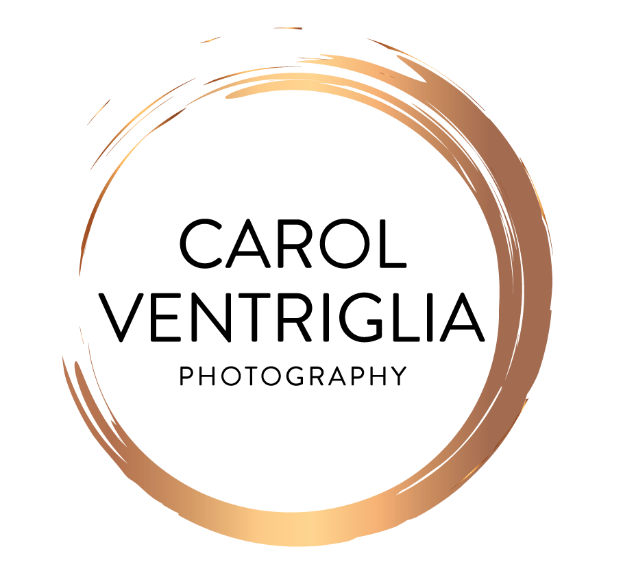 Loja: Carol Ventriglia Photo - Logotipo