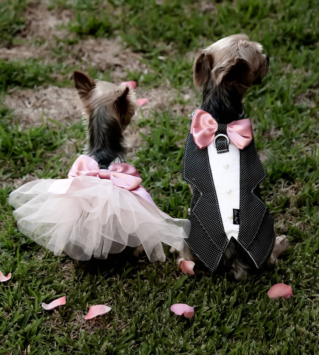 Imagem da loja: Cristiane Cardoso