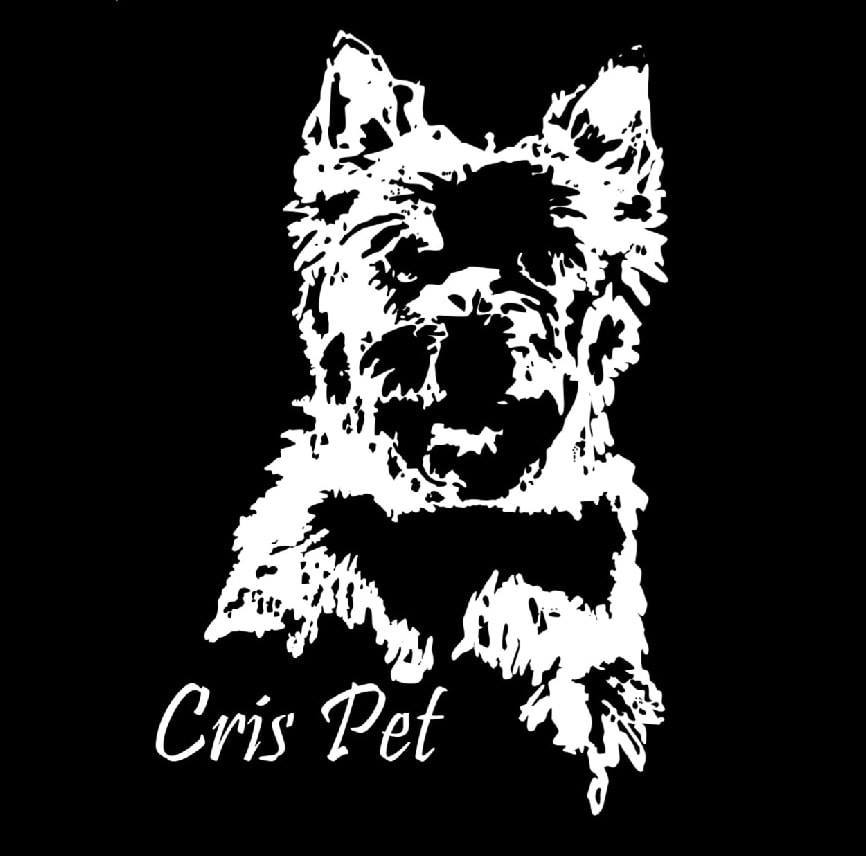 Loja: Cristiane Cardoso - Logotipo