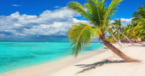 Imagem da loja: GOINOUT TRAVELS