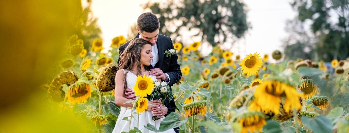 Imagem da loja: Paulo Oliveira Fotografia