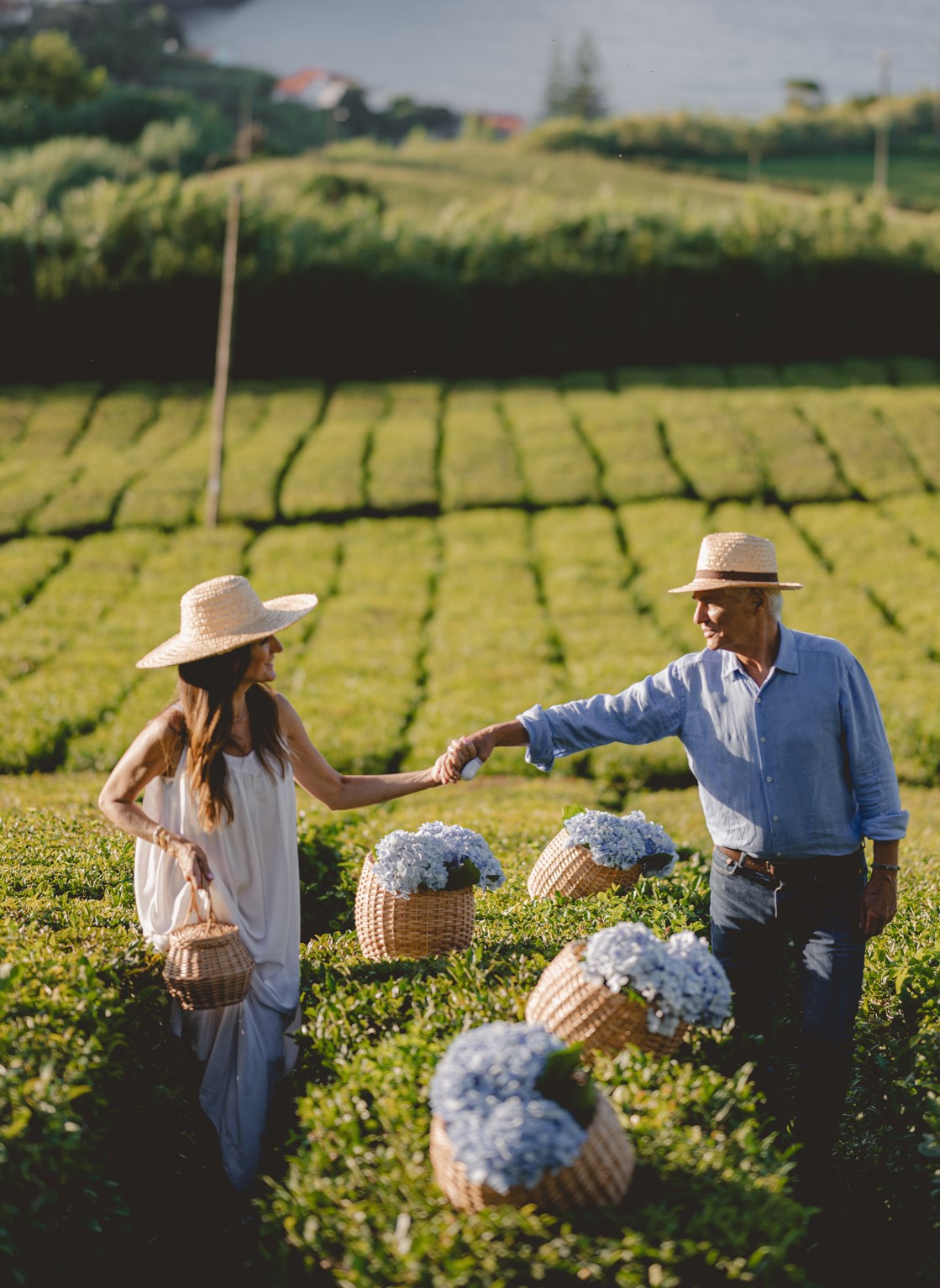 Loja: SILVIA ROMA Events Planner - Imagem de Destaque