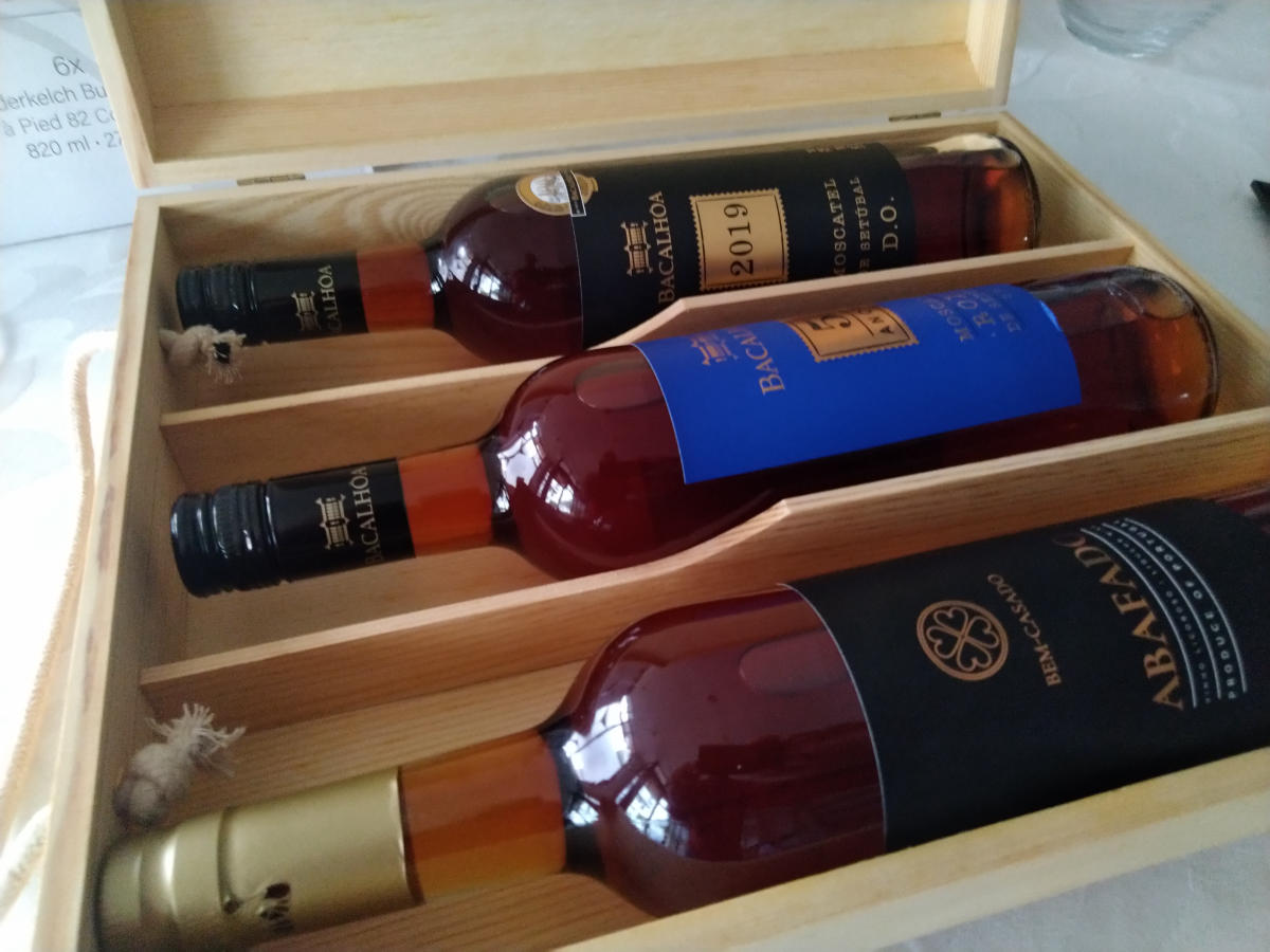 Imagem do casamento de Mariana e Bernardo