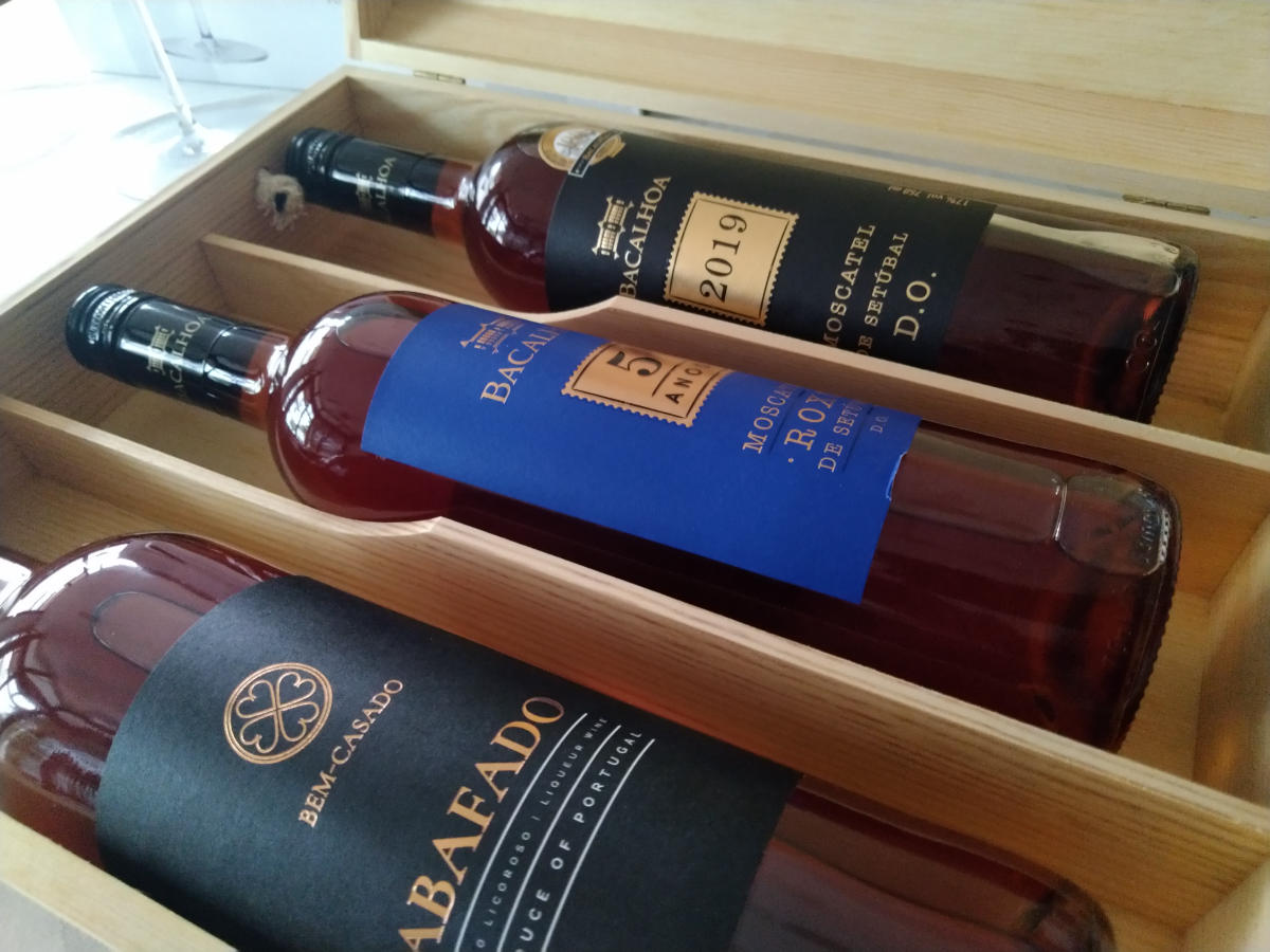 Imagem do casamento de Mariana e Bernardo