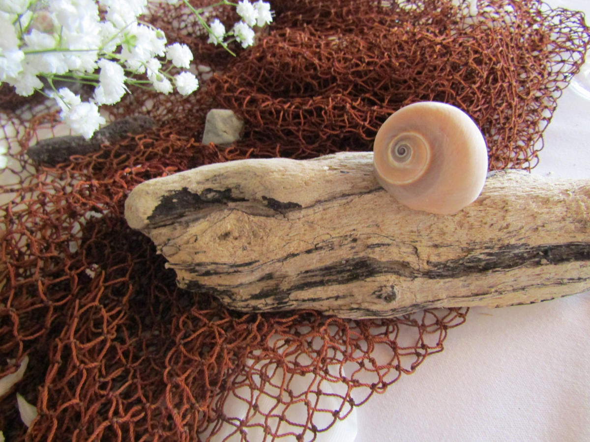 Imagem do casamento de Lucrecia e David