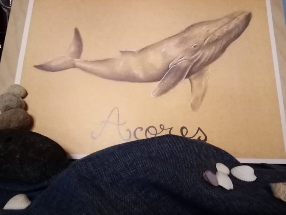 Imagem do casamento de Lucrecia e David