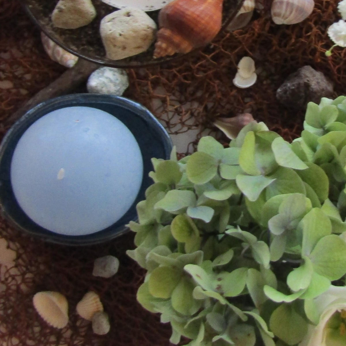 Imagem do casamento de Lucrecia e David