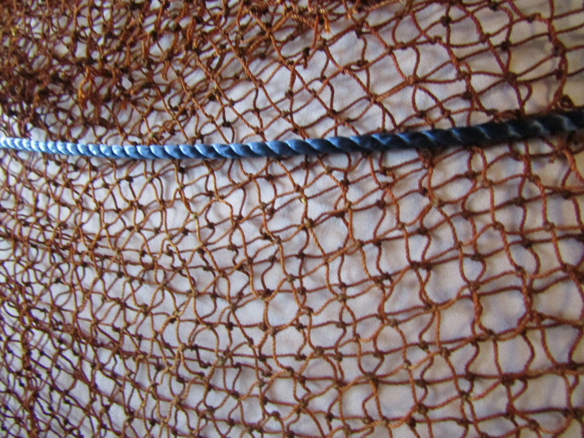 Imagem do casamento de Lucrecia e David