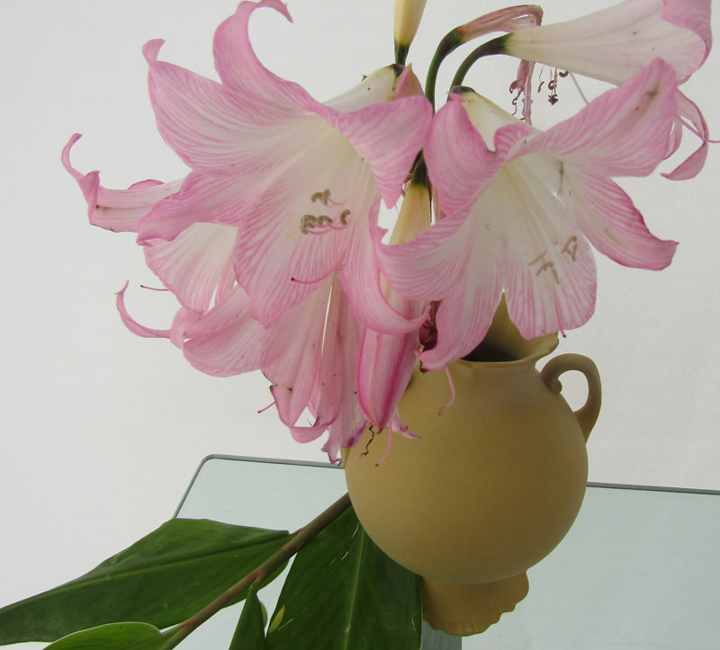 Imagem do casamento de Zuzana  e Paolo