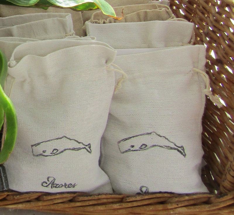 Imagem do casamento de Zuzana  e Paolo