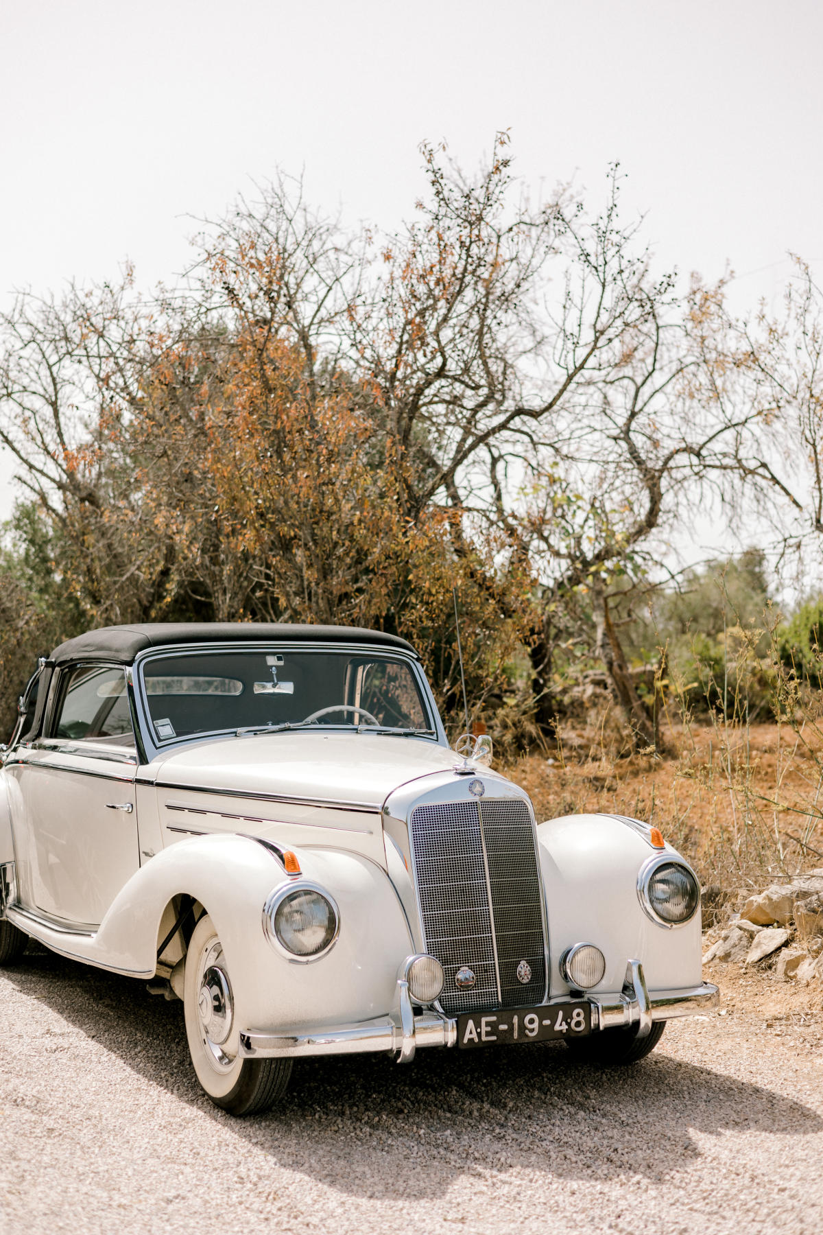 Imagem do casamento de Erin e Darryl