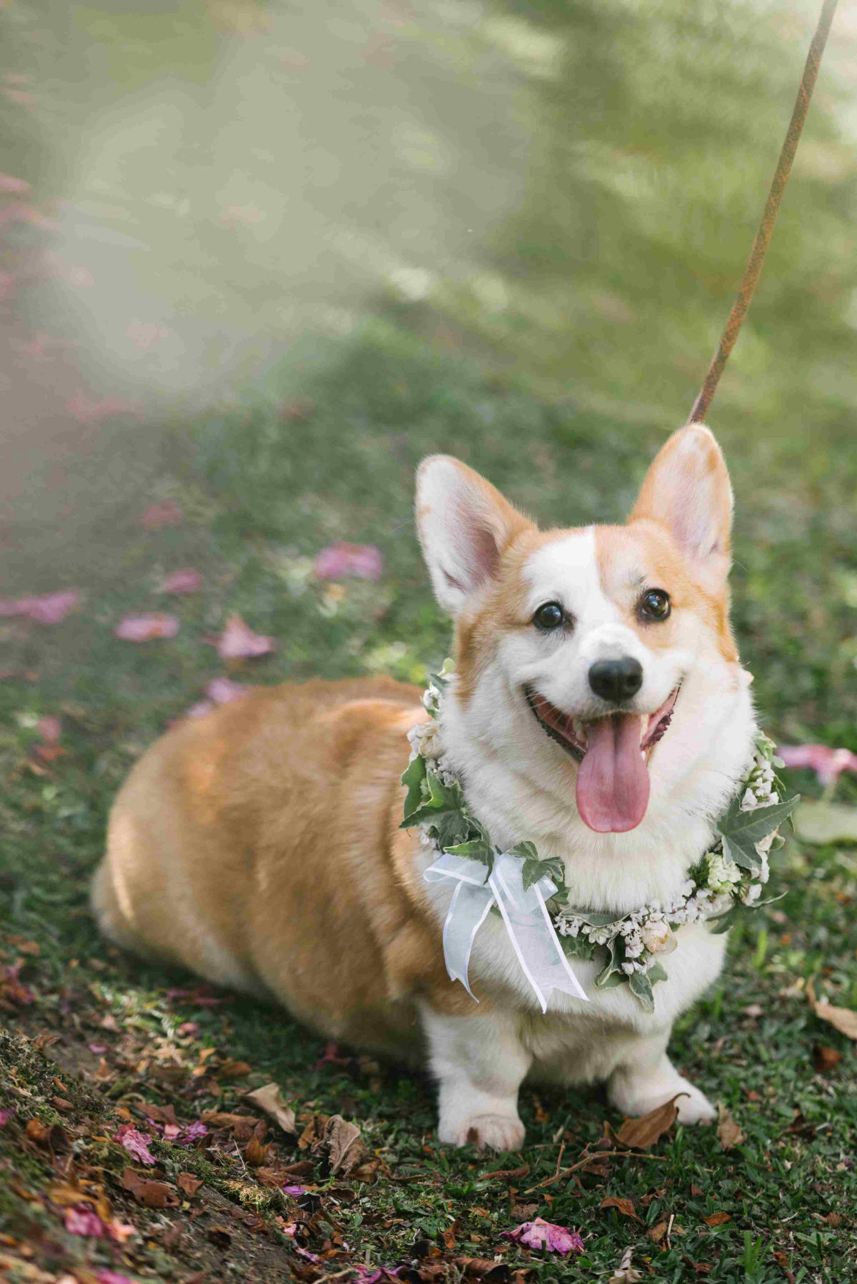 Imagem do casamento de Liandra e Pedro