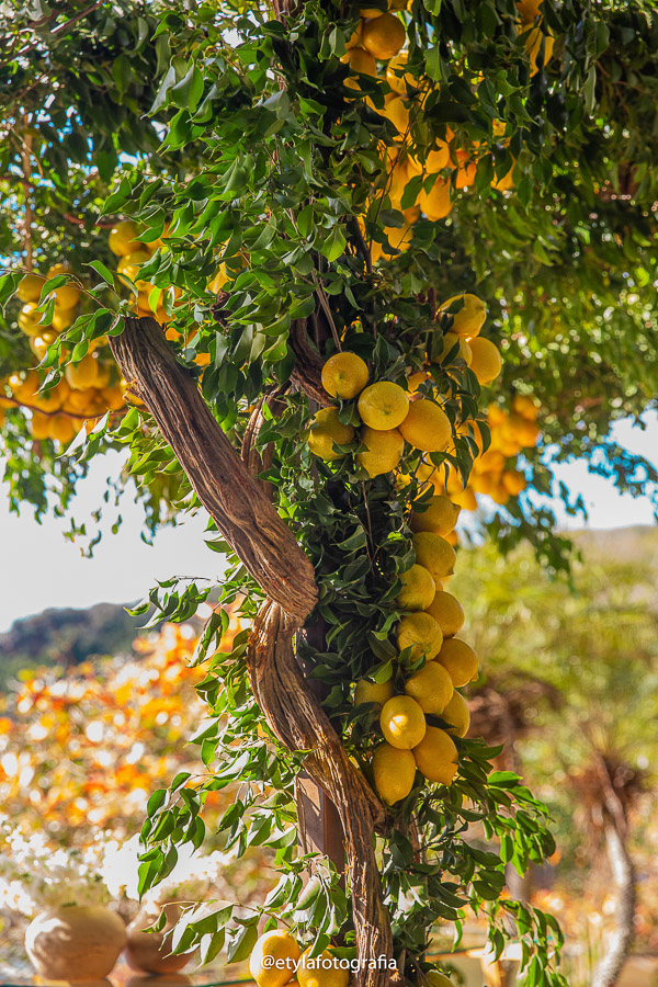 Imagem do casamento de Vanessa e Andrés