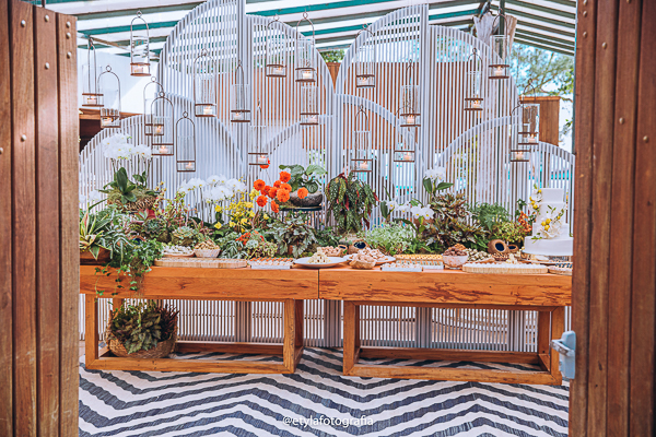 Imagem do casamento de Vanessa e Andrés