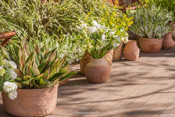 Imagem do casamento de Vanessa e Andrés