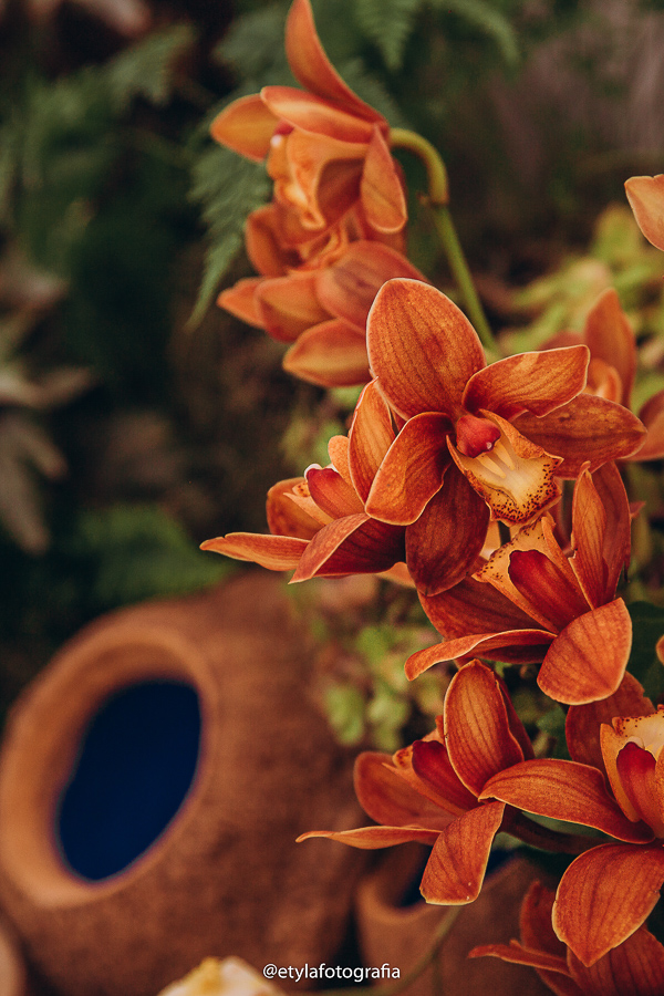Imagem do casamento de Vanessa e Andrés