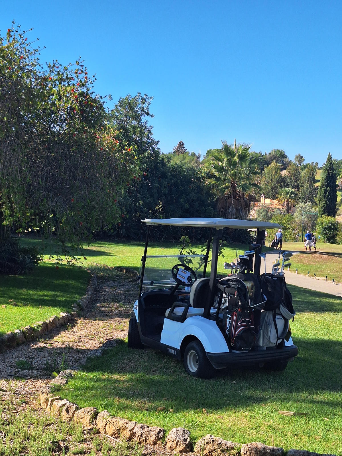 Imagem do casamento de Emily e Henry