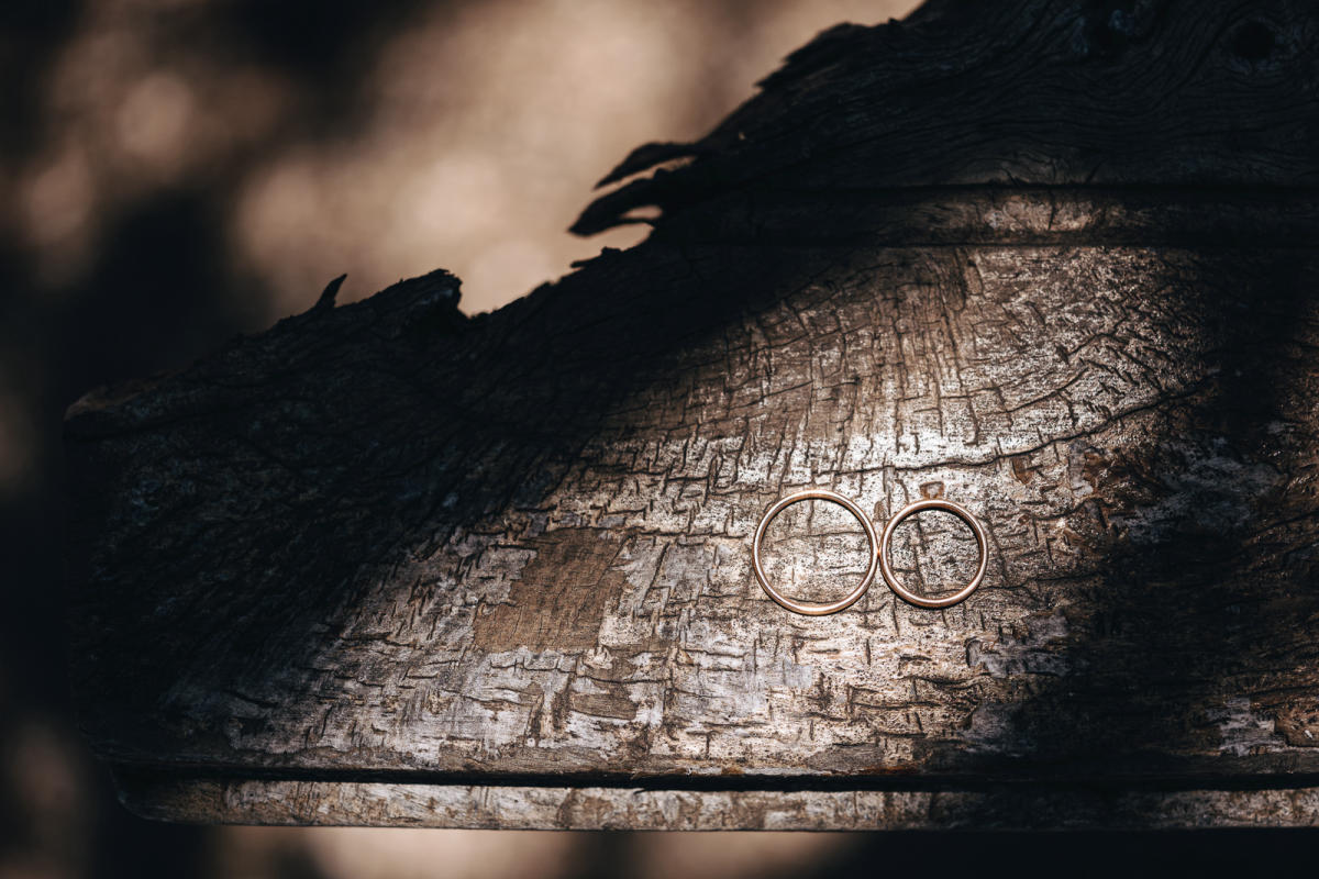 Imagem do casamento de Teresa  e Rodolfo