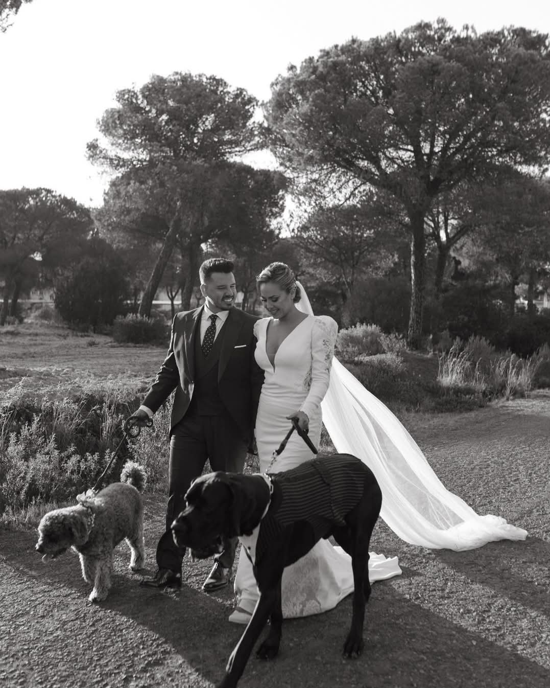 Imagem de destaque casamento de Luísa  e Joaquim