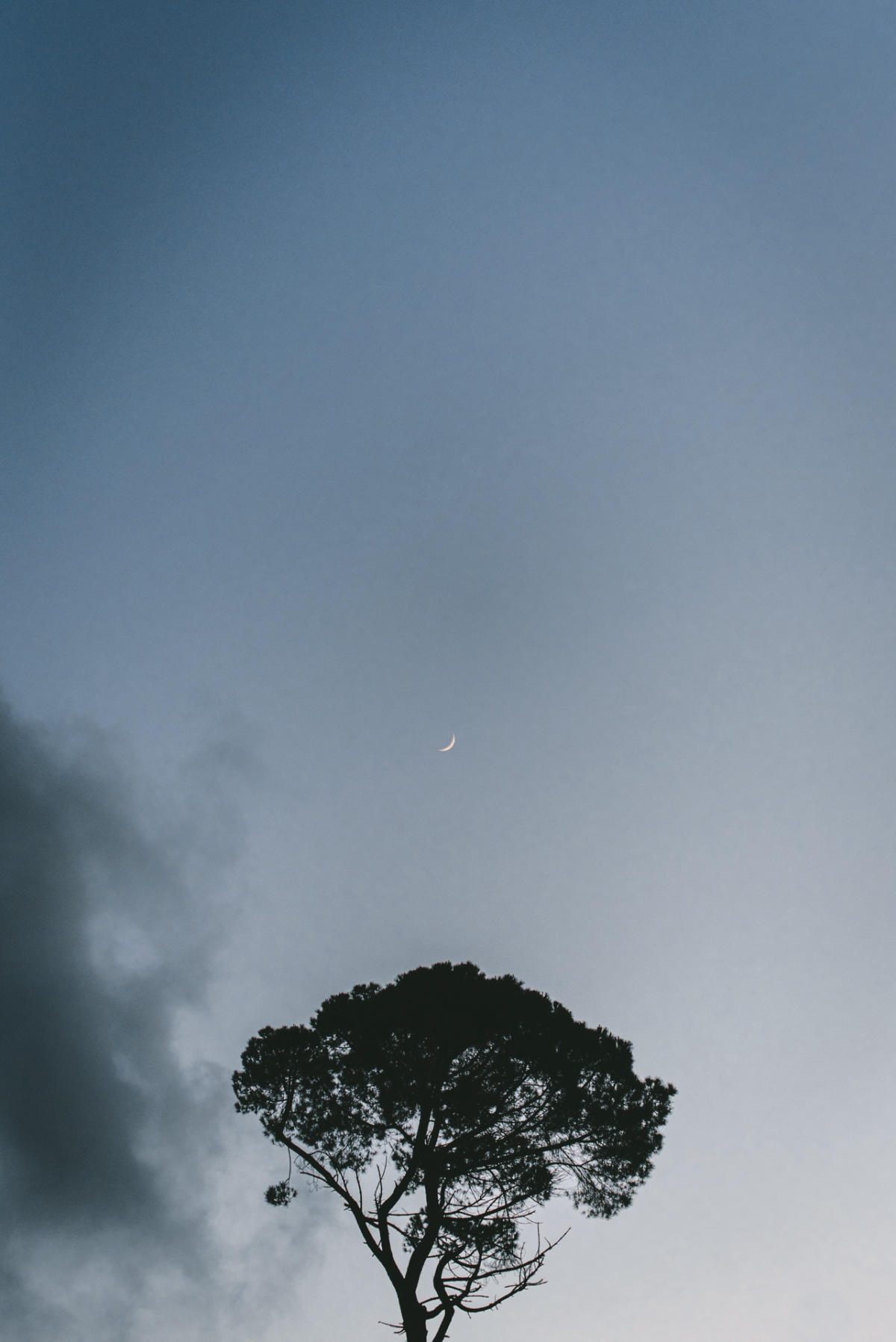 Imagem do casamento de Devon e Robert