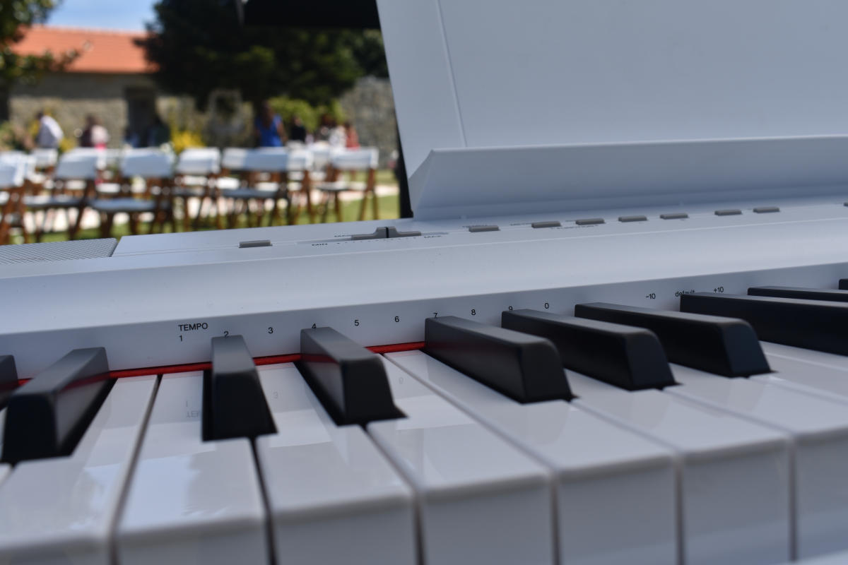 Imagem do casamento de Elsa e Tino