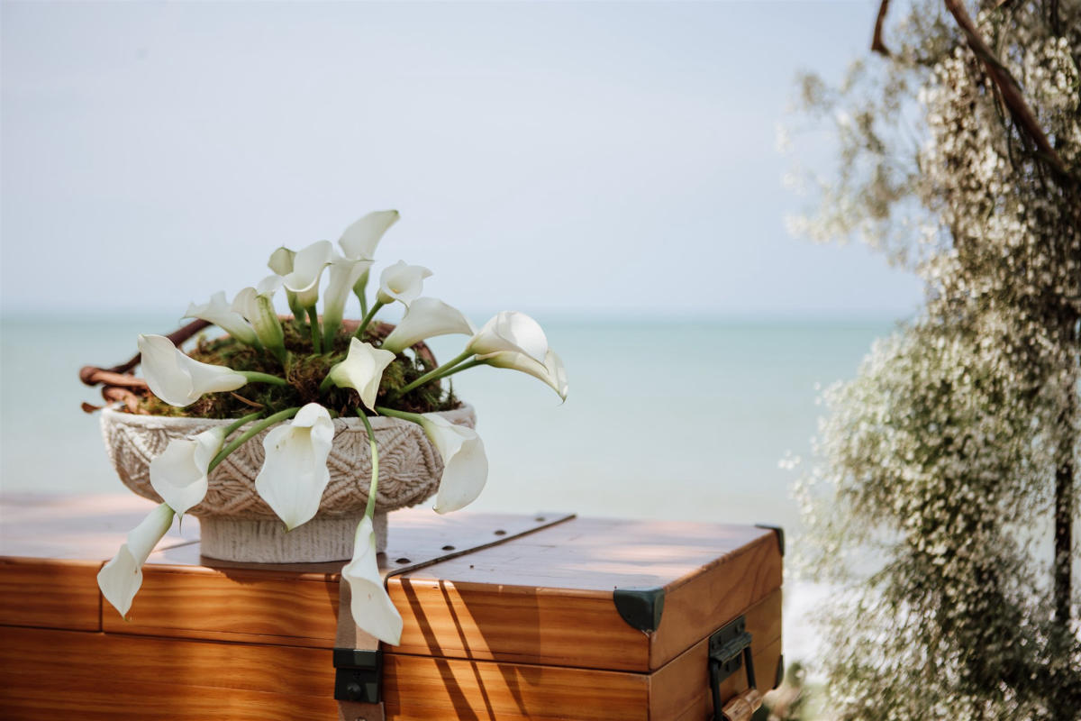 Imagem do casamento de Nathália e Frederico